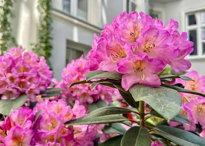 Apartament 17 By Hidden Garden * Łódź